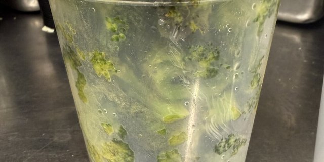 Quart of Broccoli