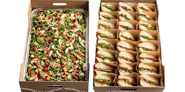 Salad & Sandwich Package