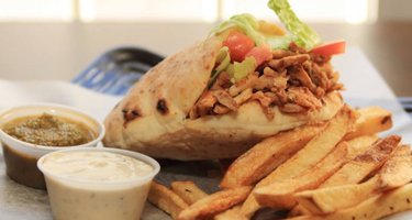 Ahuva's Grill Express