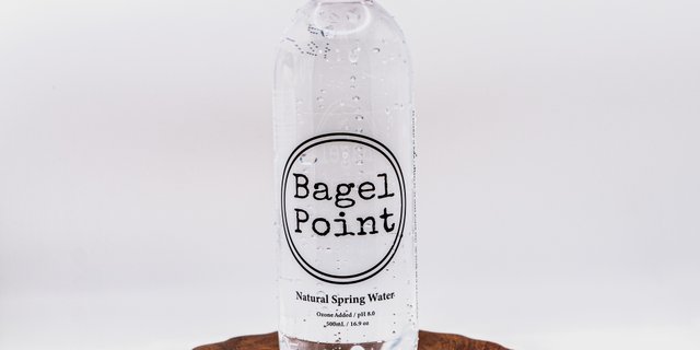 Bagel Point Natural Spring Water 16.9 oz.