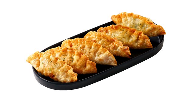 Assorted Fried Dumplings