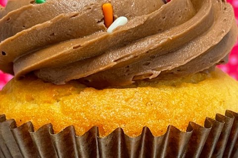 Gluten-Free Vanilla & Chocolate Cupcake