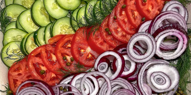 The Herbivore Bagel Box