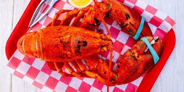 Whole Cooked Lobsters