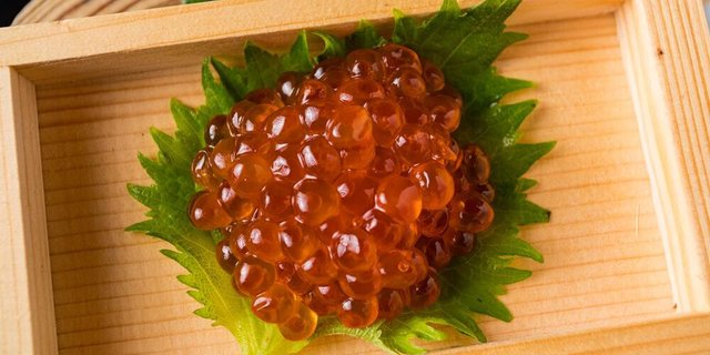 Salmon Roe (Ikura)