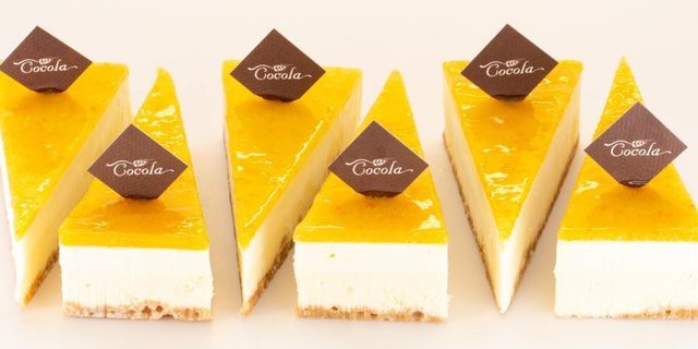 Individual Cheesecake Passion