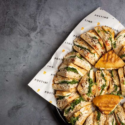 Chicken & Mozzarella Panini