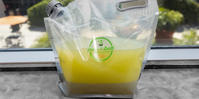 House Lemonade