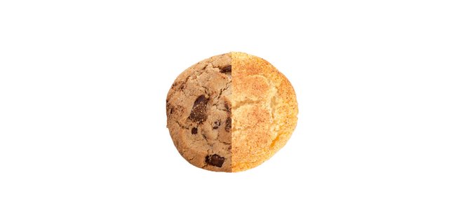 10 Chocolate Chip & Snickerdoodle Cookie Bundle