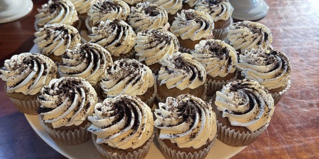 Dozen Cupcakes
