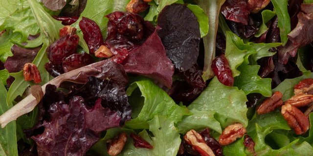 Cranberry Pecan Wild Field Salade
