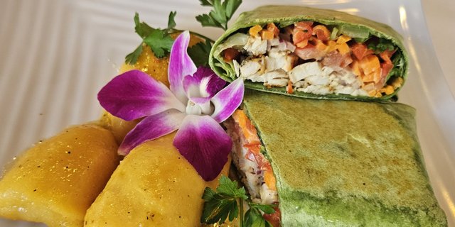 Healthy Wrap