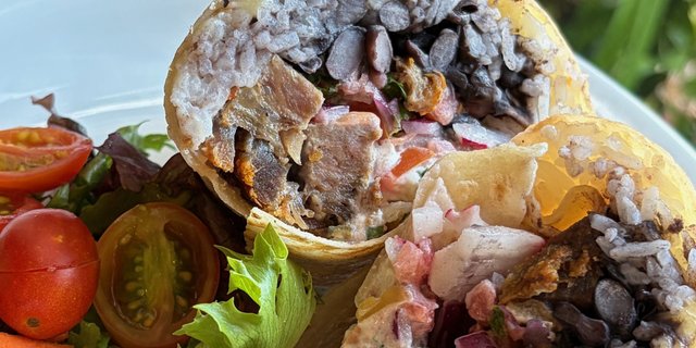 Carnitas Burritos