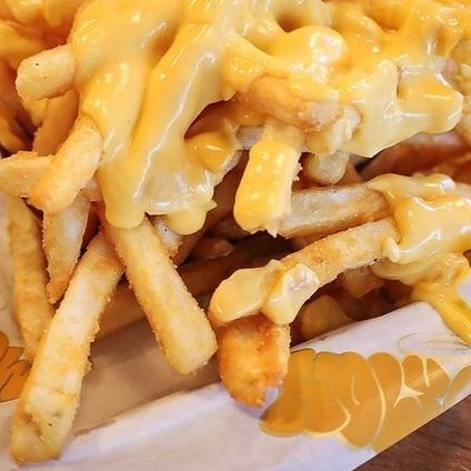 Cheese Fries