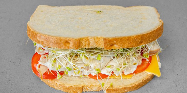 Turkey Sandwich