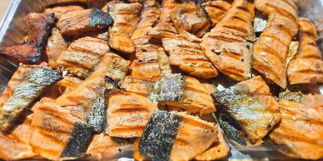 Salmon Tray