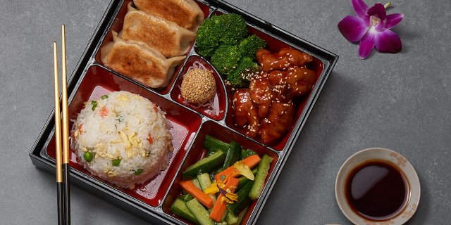 LS6 - Potsticker Meal Six