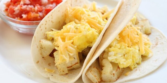 Plain Egg Breakfast Taco