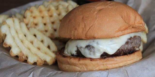 Pepper Jack Lucy