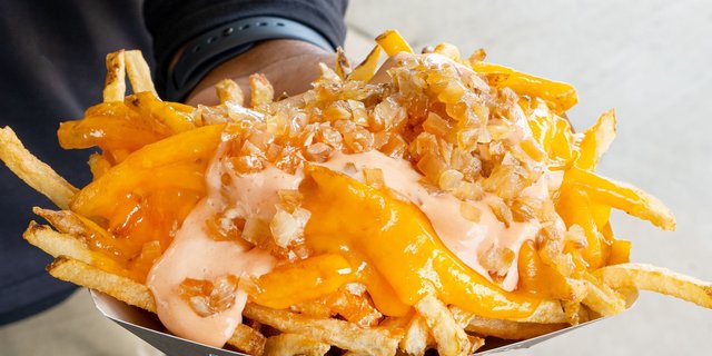 Elevation Fries
