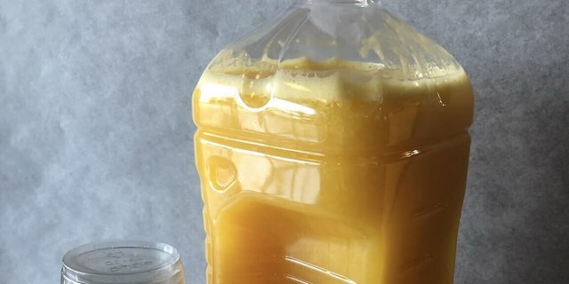 ½ Gallon Orange Juice
