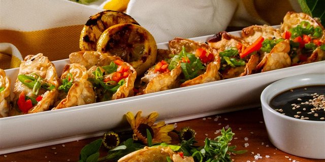 Chicken Teriyaki Dumplings