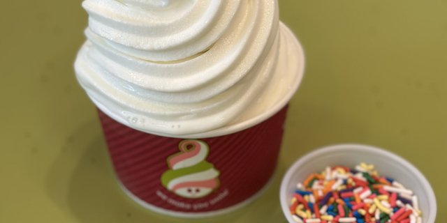 1-Topping Frozen Yogurt