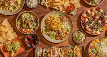 Agave Social
