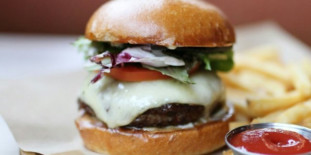 Bison Burger