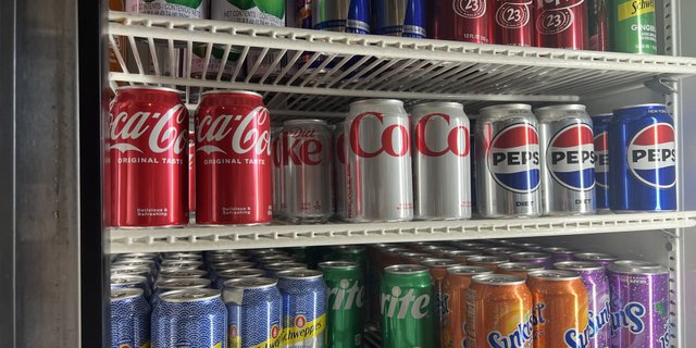 Assorted Individual Sodas