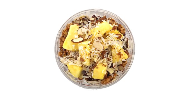 Coconut Bowl