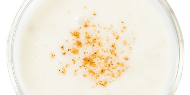 Queso