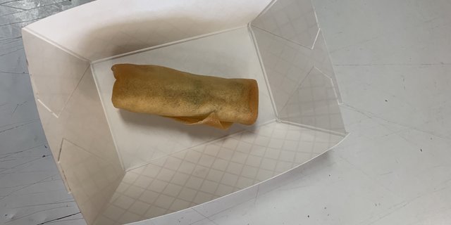 Veg Spring Roll