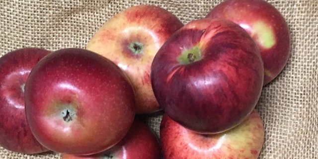 Fresh Apple