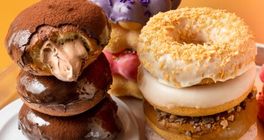 Bear Donut