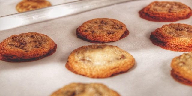 Chocolate Chip Cookie