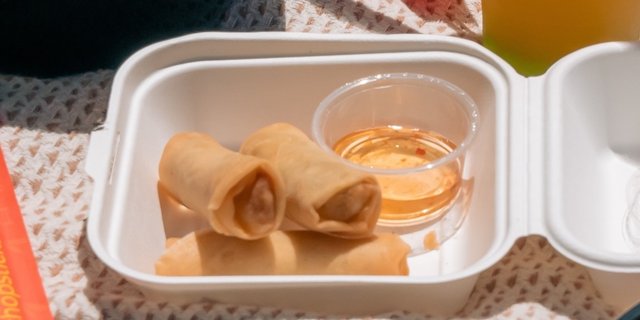 Veggie Spring Rolls