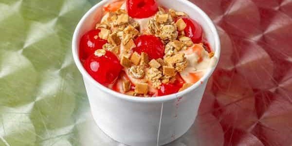 Zoyo Neighborhood Yogurt Catering in Troy, MI - 3067 Rochester Rd