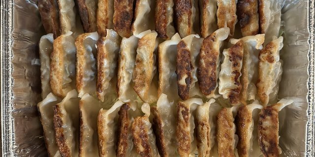 Pork & Chicken Gyoza Tray