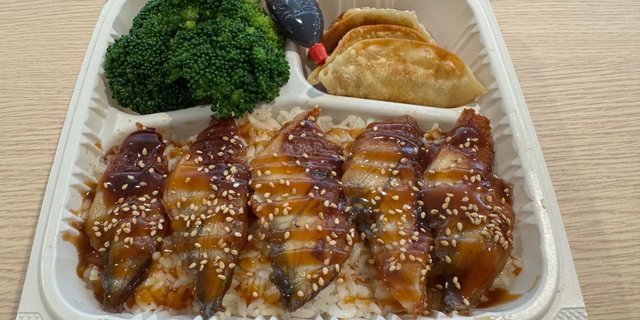 Unagi Combo