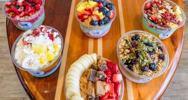 Shark Bowls and Bites