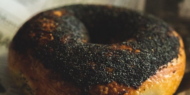 Poppy Seed Bagel