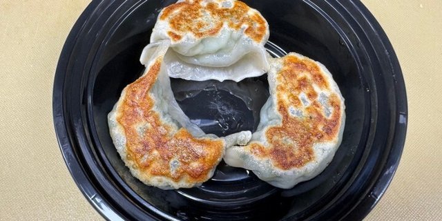 Pan-Fried Veggie Dumplings