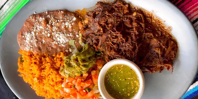 Birria Plate