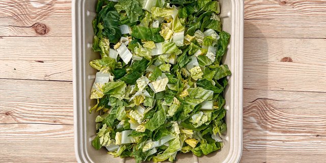 Romaine Lettuce