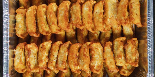 Gyoza Tray