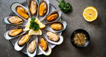 Spain Restaurant and Toma Bar