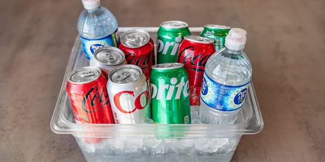 Assorted Individual Sodas