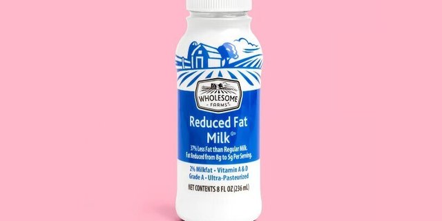 Milk