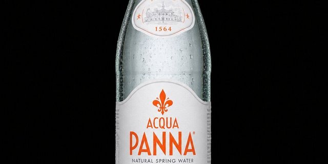 16.9 Oz Acqua Panna Natural Spring Water (Small)